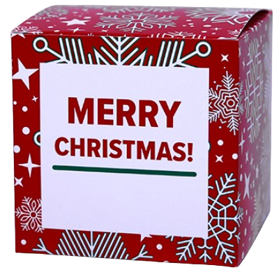 Christmas Favour Boxes