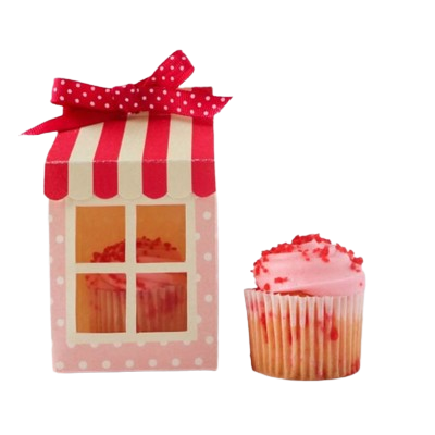 Single Cupcake Boxes